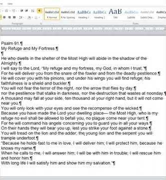 Psalm 91 My Refuge and My Fortress