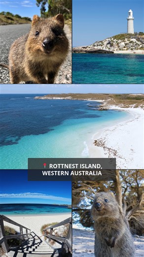 11K views · 479 reactions | Just a quick ferry trip from Perth,...