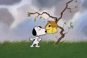 123K views · 8.2K reactions | Soo cute ♥️   #snoopylover #snoopyfans #valentinesday #valentines #snoopydog #snoopy #snoopyandwoodstock #peanutbutter #foryoupageシ2025 #fypシ゚viralシfypシ゚ #viralpost2025シ #facebookreelsviral #foryoupageシ #snoopylover #snoopyandwoodstock #snoopyfans #snoopy #funnymemesforyou | Snoopy Lover | Facebook