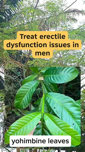 Effective natural remedy for erectile dysfunction | Dr. peace Brandy