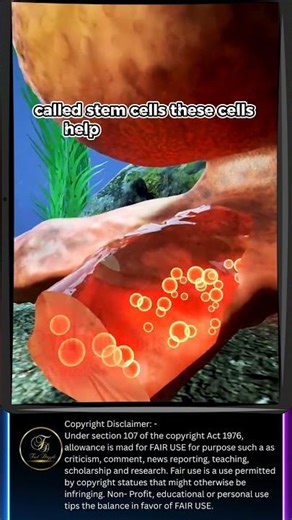 The Secret Power of Octopus Arms!