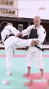 32K views · 665 reactions | Demo Technique 5 #training #kempo #shorinjikempo #reelfb #martialarts #selfdefense #sensei #kick | Shorinji Kempo 少林寺拳法 | Facebook
