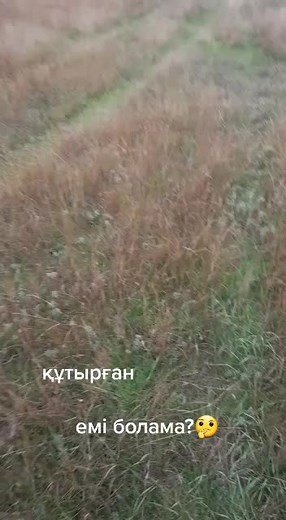 Ersin Sagidolla (@e.s_ersin)’s videos with оригинальный звук - Ersin Sagidolla