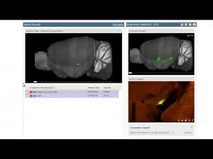Technical Tour: Explore the Allen Mouse Brain Connectivity Atlas