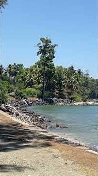 Exploring Andaman & Nicobar Islands | Hidden Coastline & Giant Trees