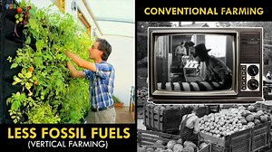 2.4K views · 26 reactions | Is this the farm of the future? | Reactions | Facebook