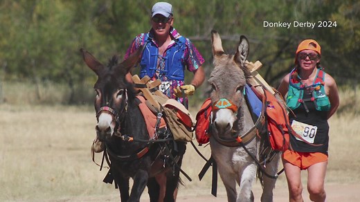 The Black Canyon Donkey Derby: How a race for gold became a beloved sport in Arizona