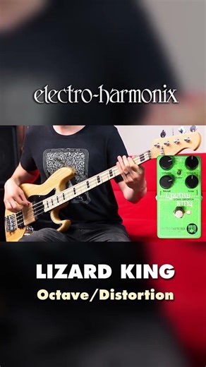 Riding with the Lizard King