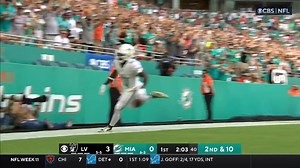 News Flash: You can't keep up with a cheetah 🐆 | Miami Dolphins on CBS Sports