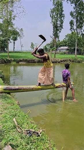 On a banana tree tied to a pole