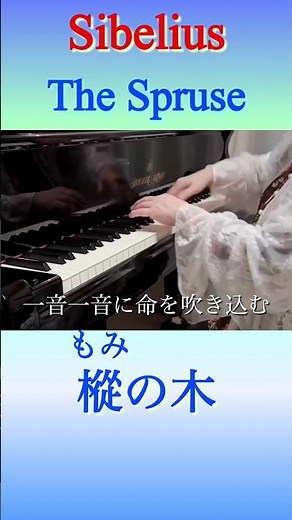 66才 樅の木〔もみの木〕Digest 前半 Sibelius The Spruse Piano Solo演奏動画