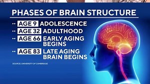 4K views · 28 reactions | Adolescence, the developmental stage between childhood and adulthood, lasts until your early 30s, according to new research from the University of Cambridge. | CBS Mornings | Facebook
