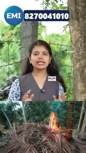 “20 HP കോകോ ശ്രെഡർ – ഉയർന്ന പ്രകടനം, ഉയർന്ന ഗുണമേന്മ, സ്വന്തം നിർമ്മാണം”