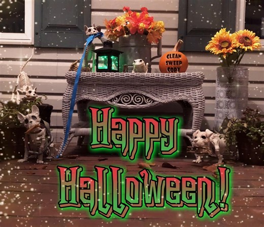 We hope you all had a MAGICAL Halloween! 🎃 | Clean Sweep Copy