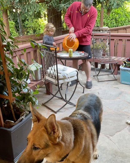 Cynthia Gibb on Instagram: "My girl…❤️"