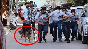 533K views · 18K reactions | pranks | NN Media Trending | Facebook