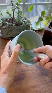 Mint Chocolate Chip Ice Cream - recipe in comments | Kristyslifestyle