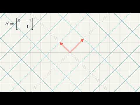 Singular Value Decomposition -- Beyond the Perspective