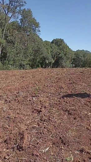 Os vídeos de anery.15 (@anery15) com som original - anery.15