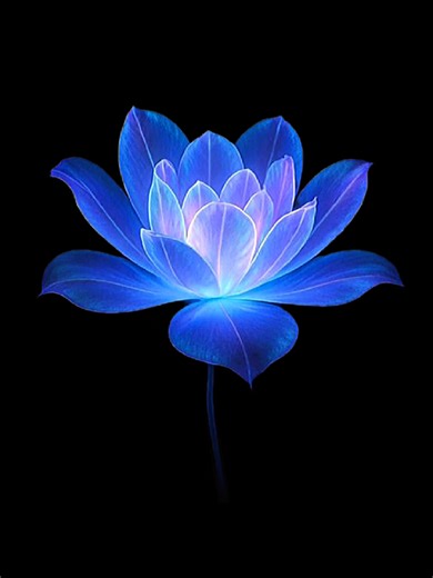 Paint the town red - doja cat #fyp #viral #lyrics #song #dojacat | paint the town red lyrics