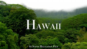 Hawaii’s Natural Landscapes – Aerial Footage in 4K