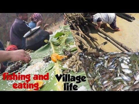 Catching and cooking fish