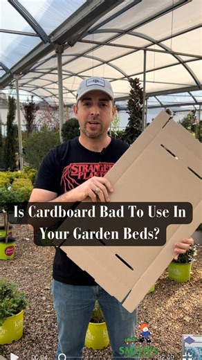 Is it bad to use cardboard in your garden beds? Let’s talk about it. 🔗https://gardenprofessors.com/cardboard-does-not-belong-on-your-soil-period/ #smithsgardentown #gardening #cardboard #weedbarrier #lasagnamethod #landscaping #gardening101 #gardeninghacks #gardeningtipsandtricks | Smith's Gardentown