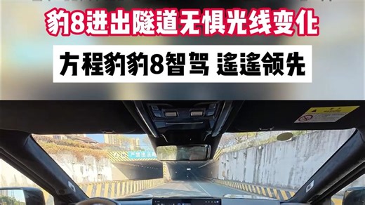 隧道光线随意变？豹8智能驾驶全程稳如老司机！