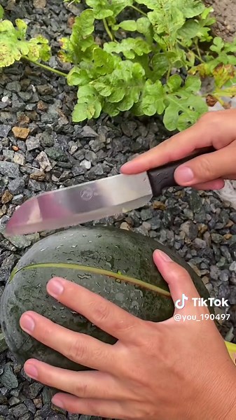 Watermelon Cutting and Tasting Video