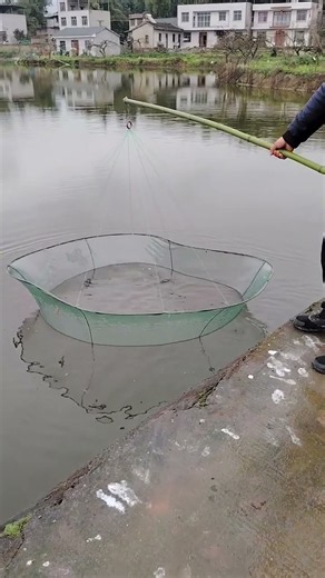 #Catch crabs #Agriculture, Rural Areas, and Farmers #Fishing outdoors