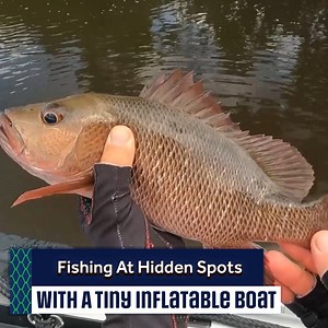 232K views · 2K reactions | This Fish I Caught Has Such Sharp & Big Teeth! | Andy's Fishing Wild Cook on Youtube | Facebook