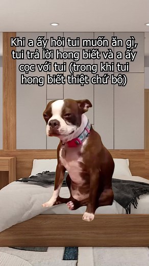 Ăn gì cũng được mà 🥹🥹🥹 #mindlab #thehegen #tamlyhoc #tamlyhochanhvi #tamlyhocxahoi #tamlyhocungdung #tamlyhocmoingay #tamlyhoctinhyeu #trendingvideo #memelab #meme #trending #capcut