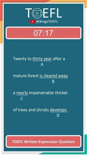 TOEFL Grammar Practice #562 | Written Expression Questions (Plural Noun)