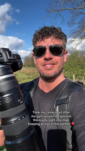 Love getting out with my camera & enjoy so many different types of photography. These swans nest every year around the same location to have their babies and really enjoy capturing the different stages. Today the female was resting in the nest while the male kept watch over her & protecting her ❤️ #photography #nature #canon