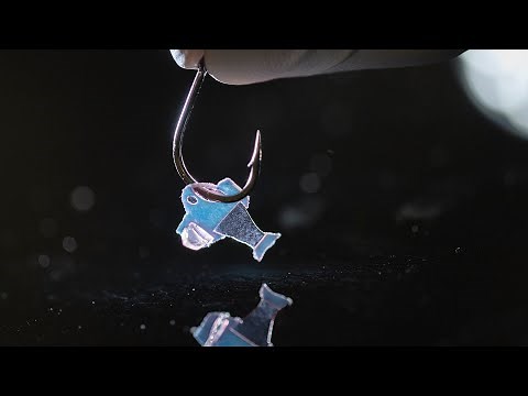 Watch a biohybrid fish built from human heart cells swim