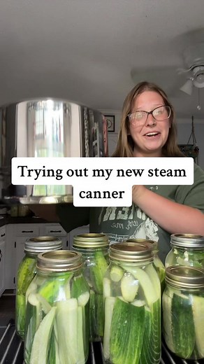 Making Salty Brine Pickles with a Steam Canner