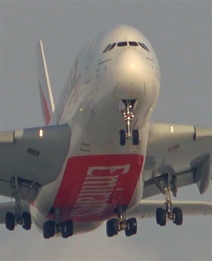 Pure muscle on display 💪✈️ Emirates A380 unleashes a thunderous takeoff from runway 23 at YYZ, rotating skyward with unmistakable shear power and presence. A masterclass in wide-body performance. #EmiratesA380 #YYZSpotting #yyz #AviationPower #TakeoffPerformance