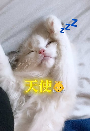 おすすめのアカウント