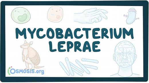 Mycobacterium leprae: Video, Causes, & Meaning | Osmosis