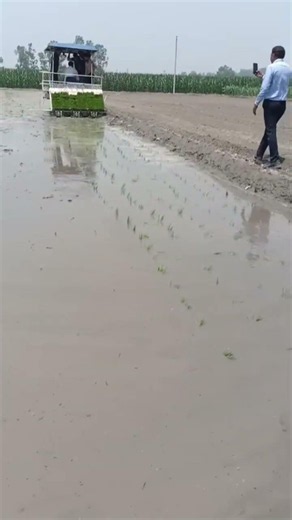 Agriculture implement vendor। transplanter