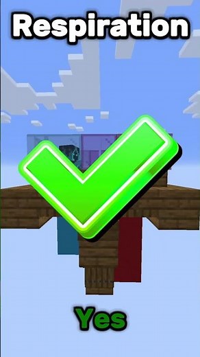 Minecraft GUESS THE ENCHANTMENT #minecraft #guess #guessinggame #guessing #guessingchallenge
