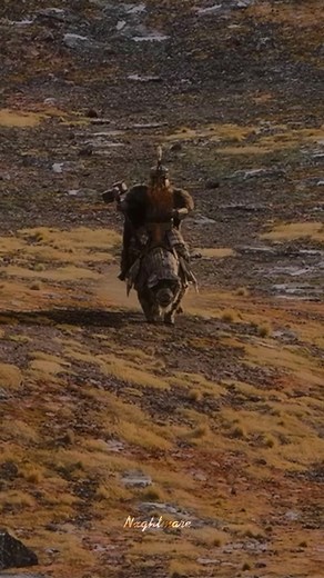 Dain Ironfoot: Quotes and Insights from Middle-earth