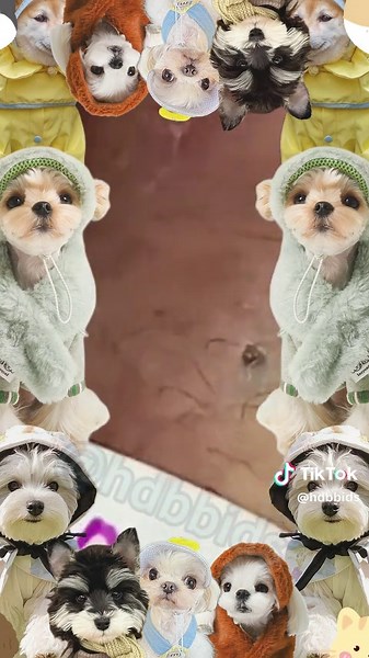 Cyst Popping Techniques for Clear Skin