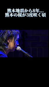 熊本の桜が3度咲く頃 - 故郷の思い