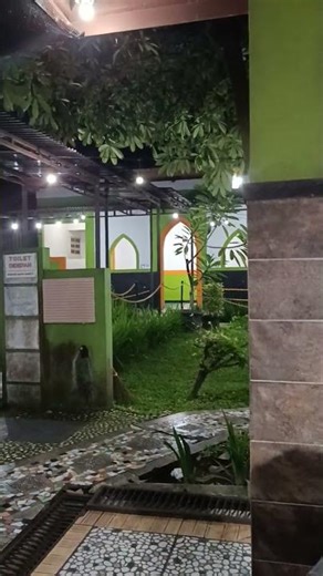 Giant Koi Fish Hidden in a Rural Restaurant Pond, You Won’t Believe This Place Exists