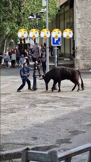 Novice Bullfighter Gored in First Bullfight – Shocking Footage #short #bulldodging