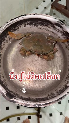Tricks for steaming crabs without the shell sticking