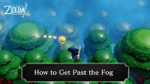 How to Get Past the Fog and Enter Eternal Forest | Zelda: Echoes of Wisdom (EoW)｜Game8