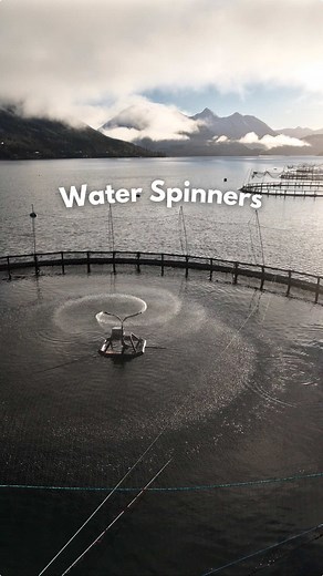 Exploring Gavin's Unique Salmon Feed System at Mowi Loch Duich | Seafood Innovation