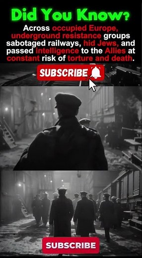 The Resistance: The Hidden Battle Fought in the Shadows